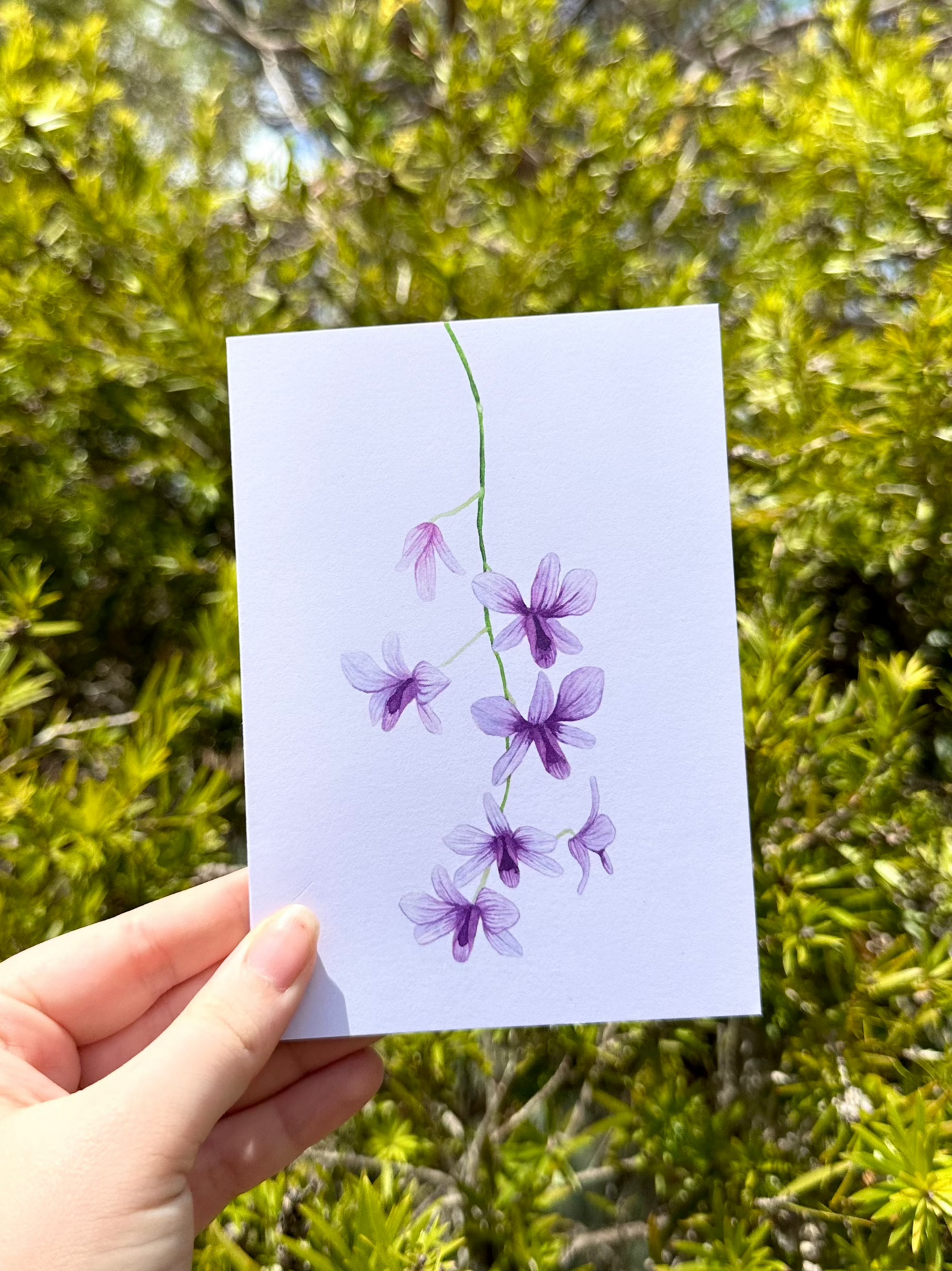 Purple Orchid Greeting Card