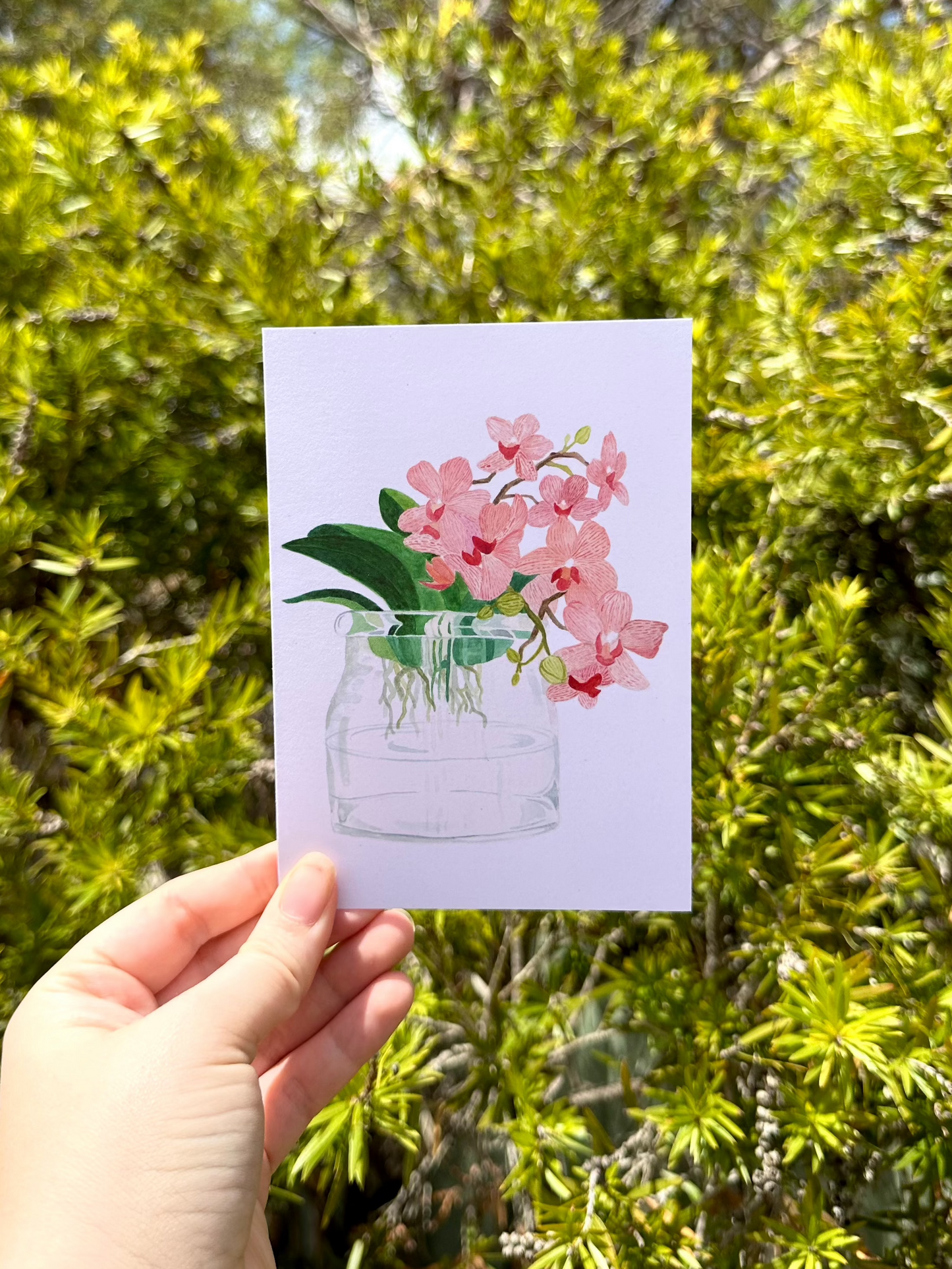 Orchid Plant Greeting Card