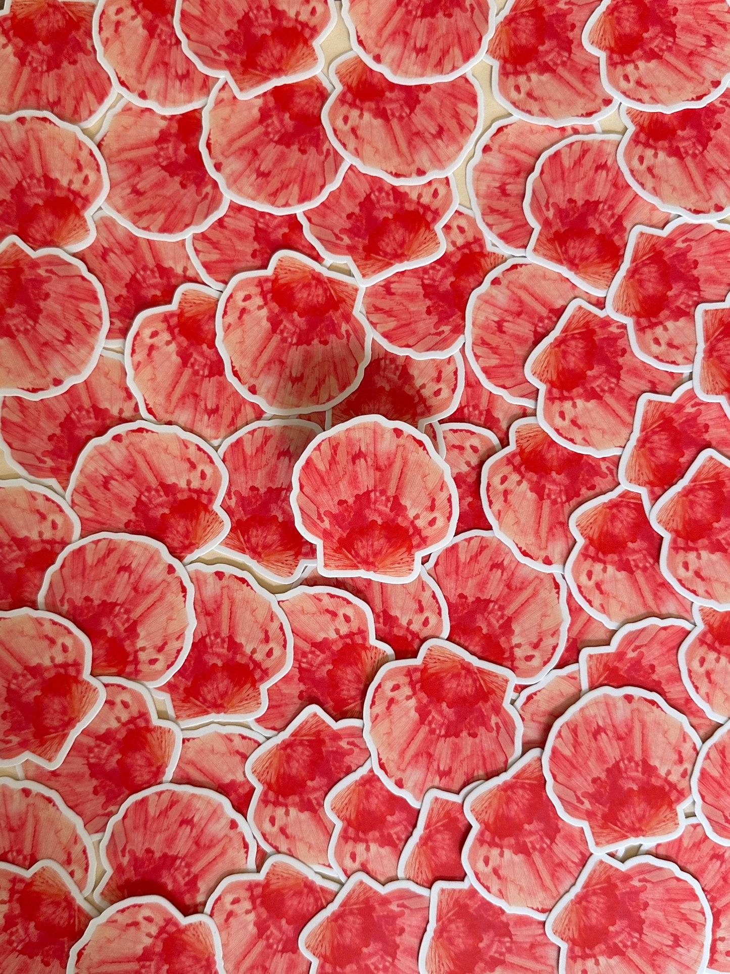 Pink Shell Sticker