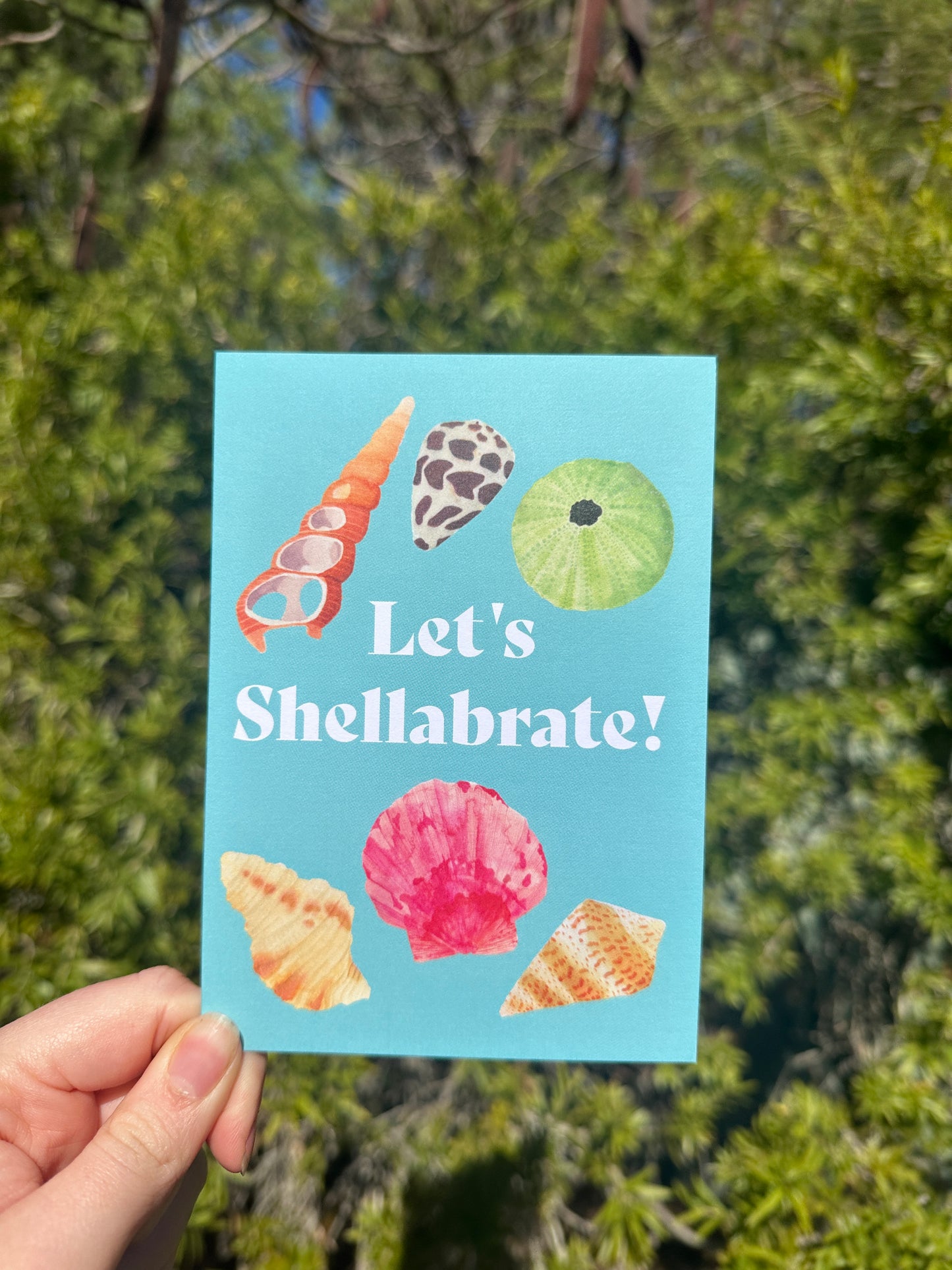 Shell Birthday Card