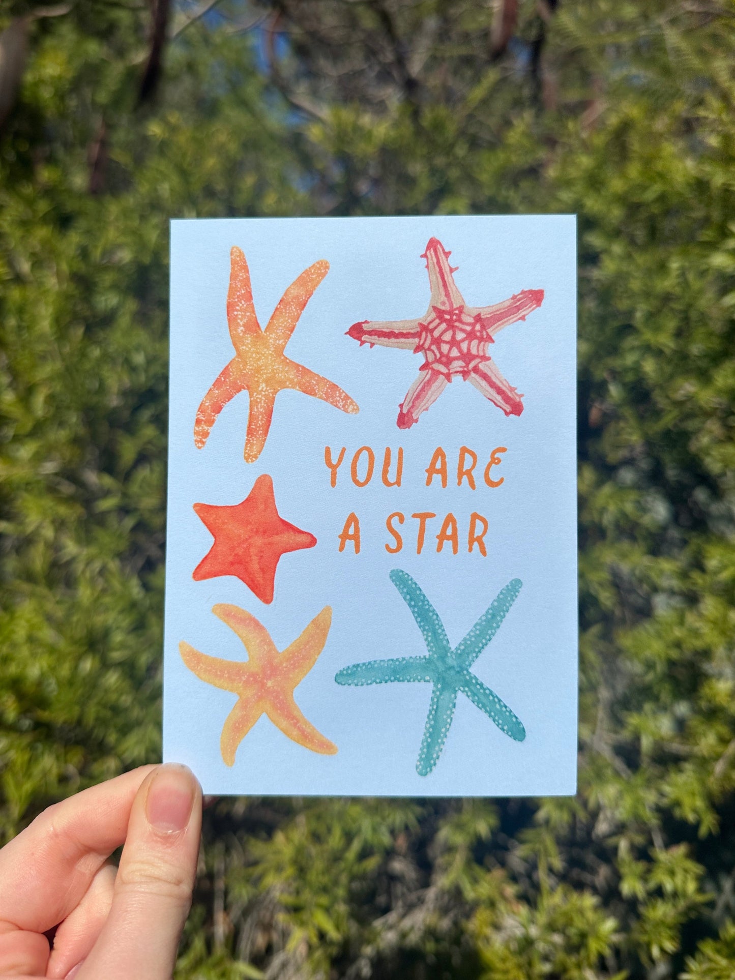 Starfish Greeting Card
