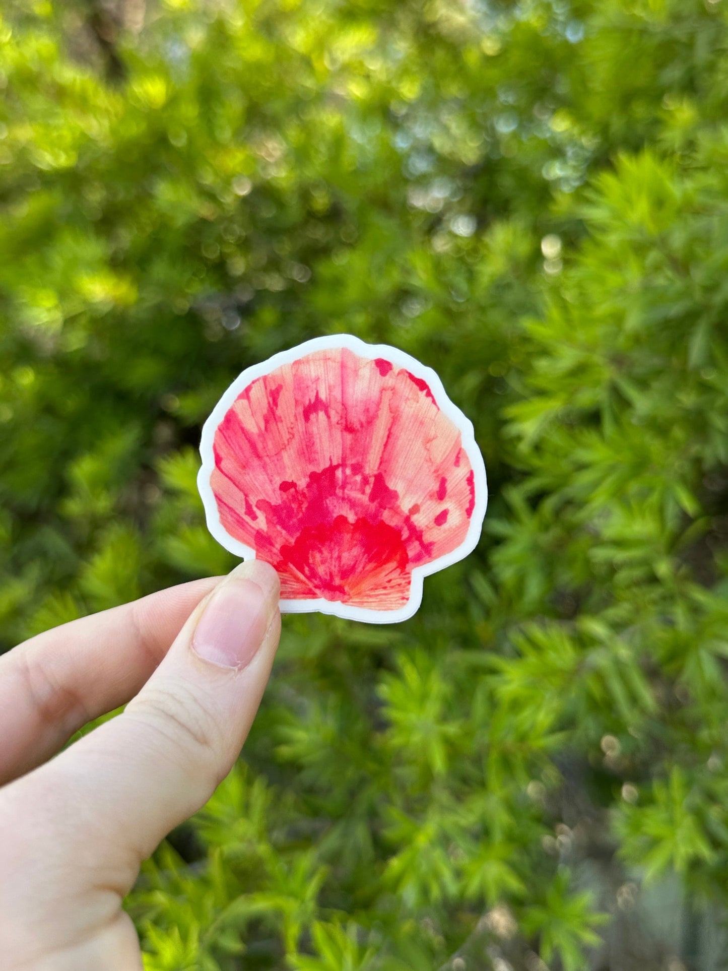 Pink Shell Sticker