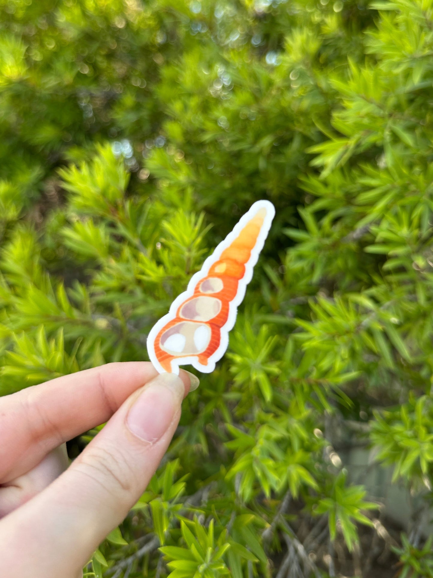 Orange Shell Sticker