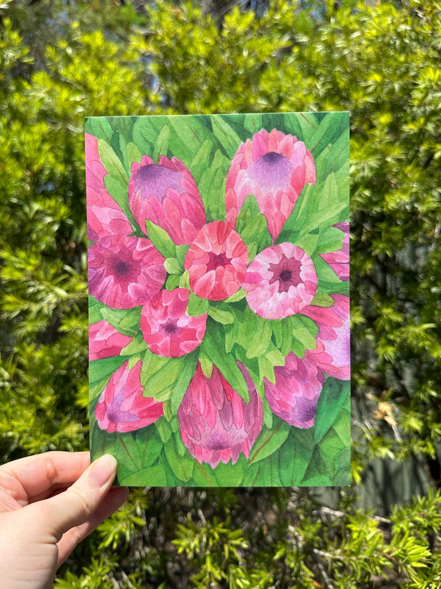 Protea Bouquet Postcard Print