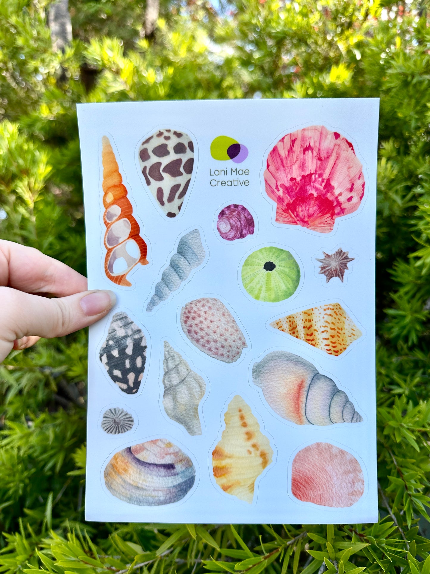 Shell vinyl sticker sheet