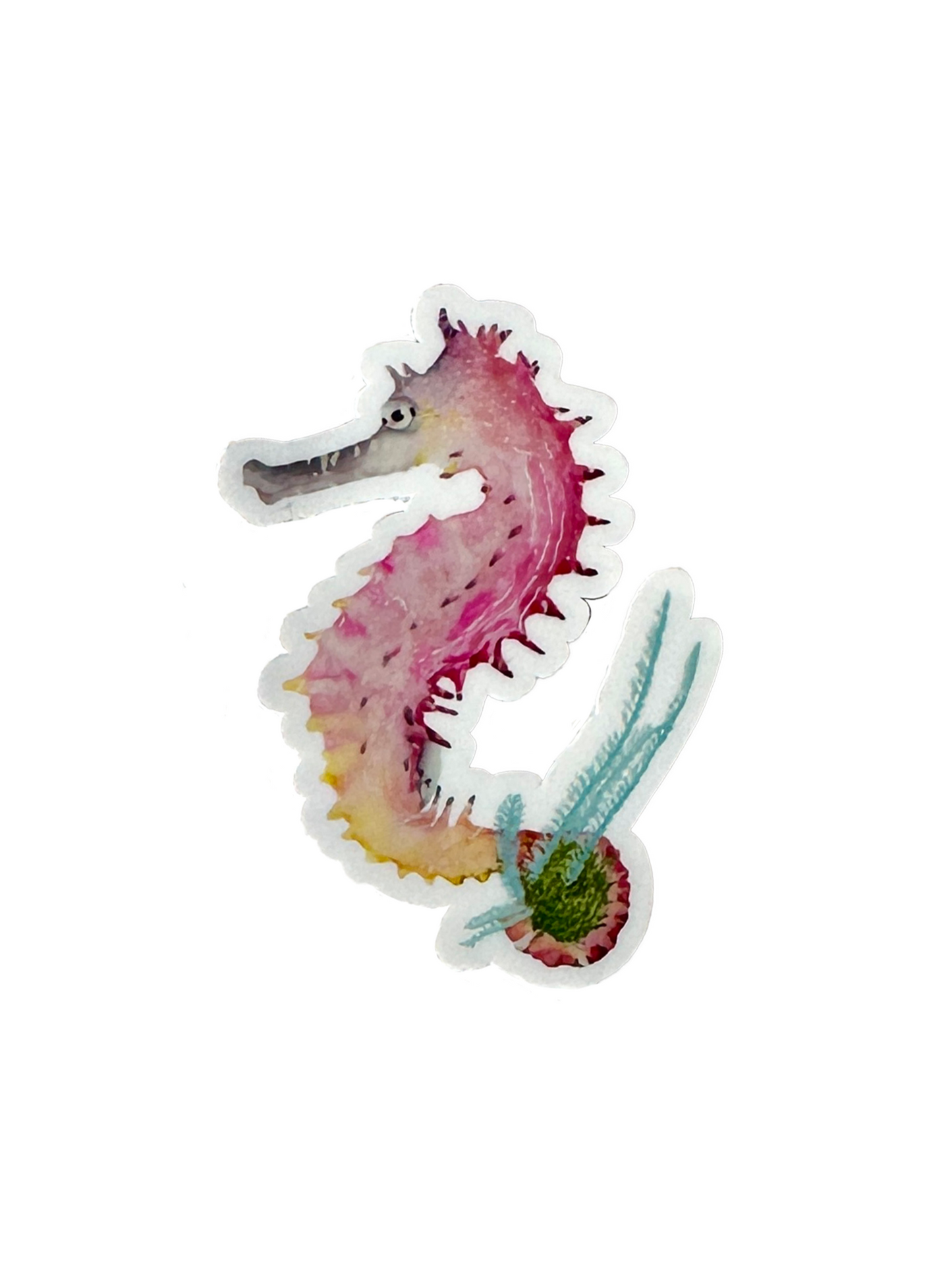 Seahorse Sticker