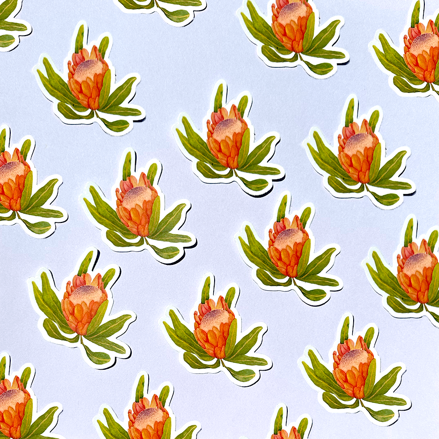 Protea Sticker