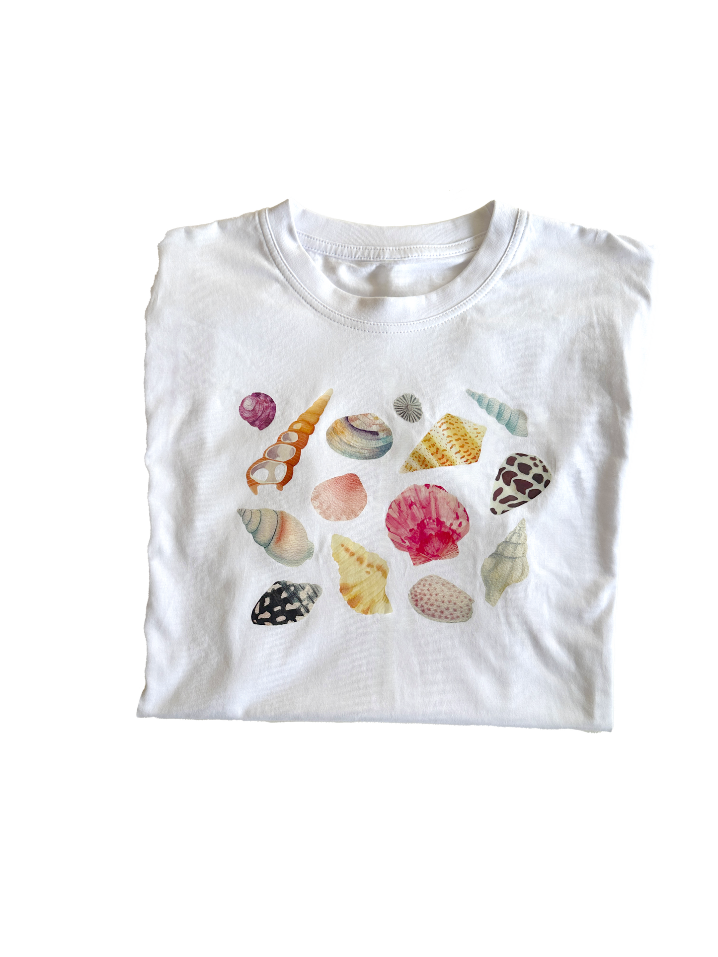 Shell T-Shirt